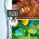 thumbnail image 4 of Termómetro digital para acuario CHAO 0 a 50 ° C resistente al agua, 4 of 5
