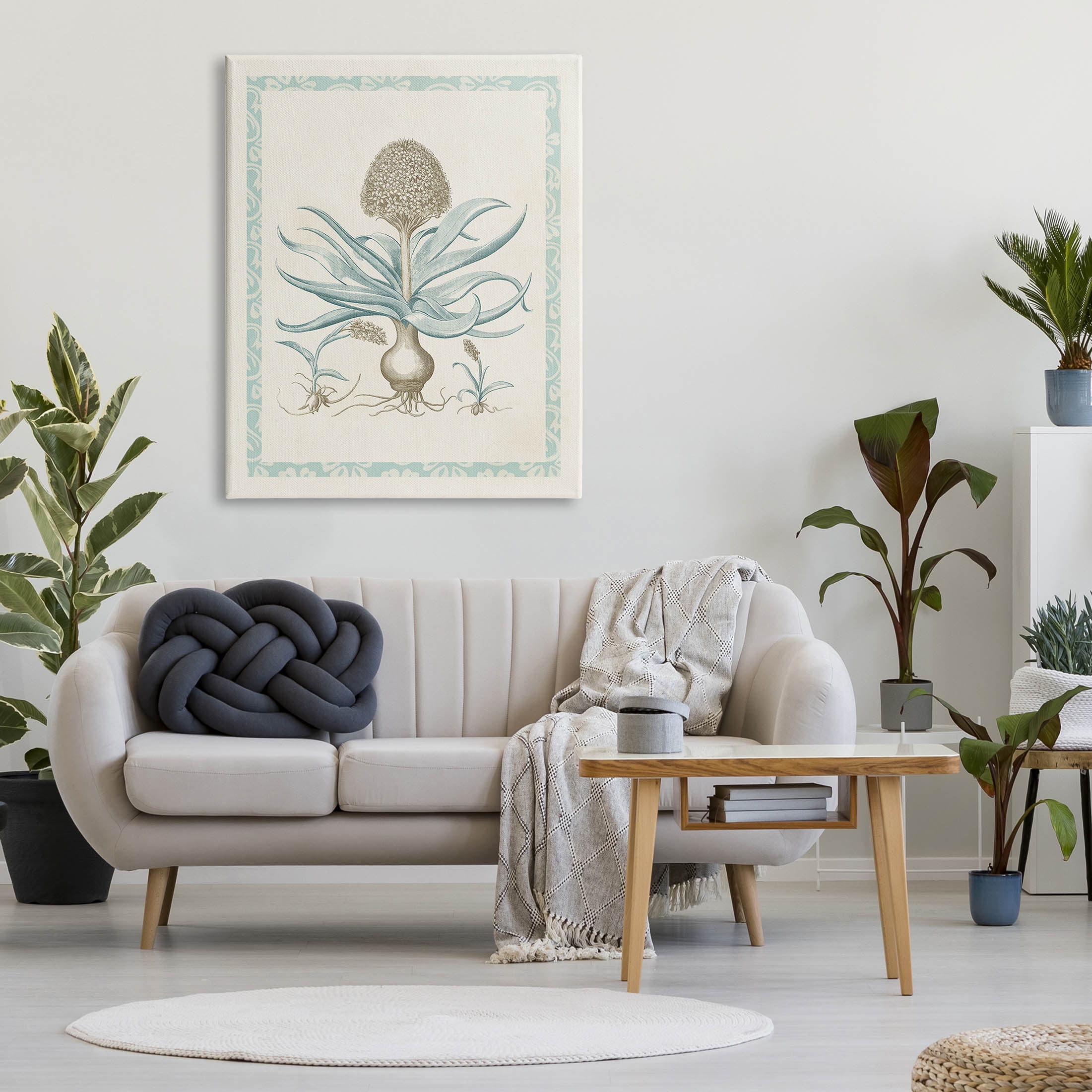 Stupell Industries Botanical Latin Study Plant Graphic Art Gallery Wrapped Canvas Print Wall Art, Design by Vision Studio