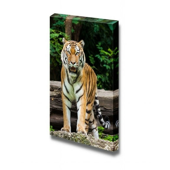 wall26 - Canvas Prints Wall Art - Tiger Wu Tang | Modern Wall Decor/Home Decoration Stretched Gallery Canvas Wrap Giclee Print. Ready to Hang - 24" x 16"