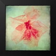thumbnail image 2 of Malek, Honey 12x12 Black Modern Framed Museum Art Print Titled - Lush Vintage Florals VI, 2 of 5