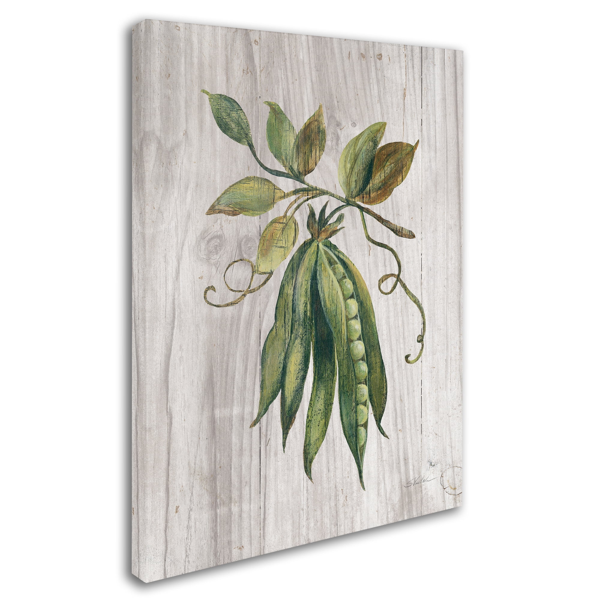 Trademark Fine Art 'Market Vegetables II' Canvas Art by Silvia Vassileva