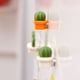 thumbnail image 2 of 12 Imanes de Cristal para Nevera con Patrones de Cactus Imanes para Gabinetes de Oficina (Naranja), Pizarras Blancas y Fotos Imanes Decorativos para el Hogar, 2 of 3