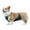 Female-Green, variant on HQREA Waterproof Dog Belly Protect Cover Vest Raincoat Rain Jacket Belly Band Apron Clothes Costume for Female Male Dogs