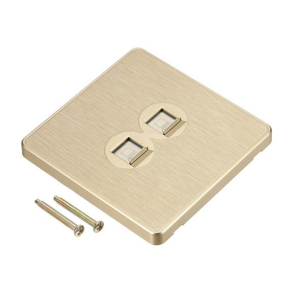 Ethernet Socket Dual Port RJ45 CAT6 Wall Plate Gold Tone for Networking Box