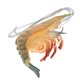 thumbnail image 5 of s de animales marinos para Juguete de plástico para de 04 Sunnimix Sea Ocean Animal Toy, 5 of 6