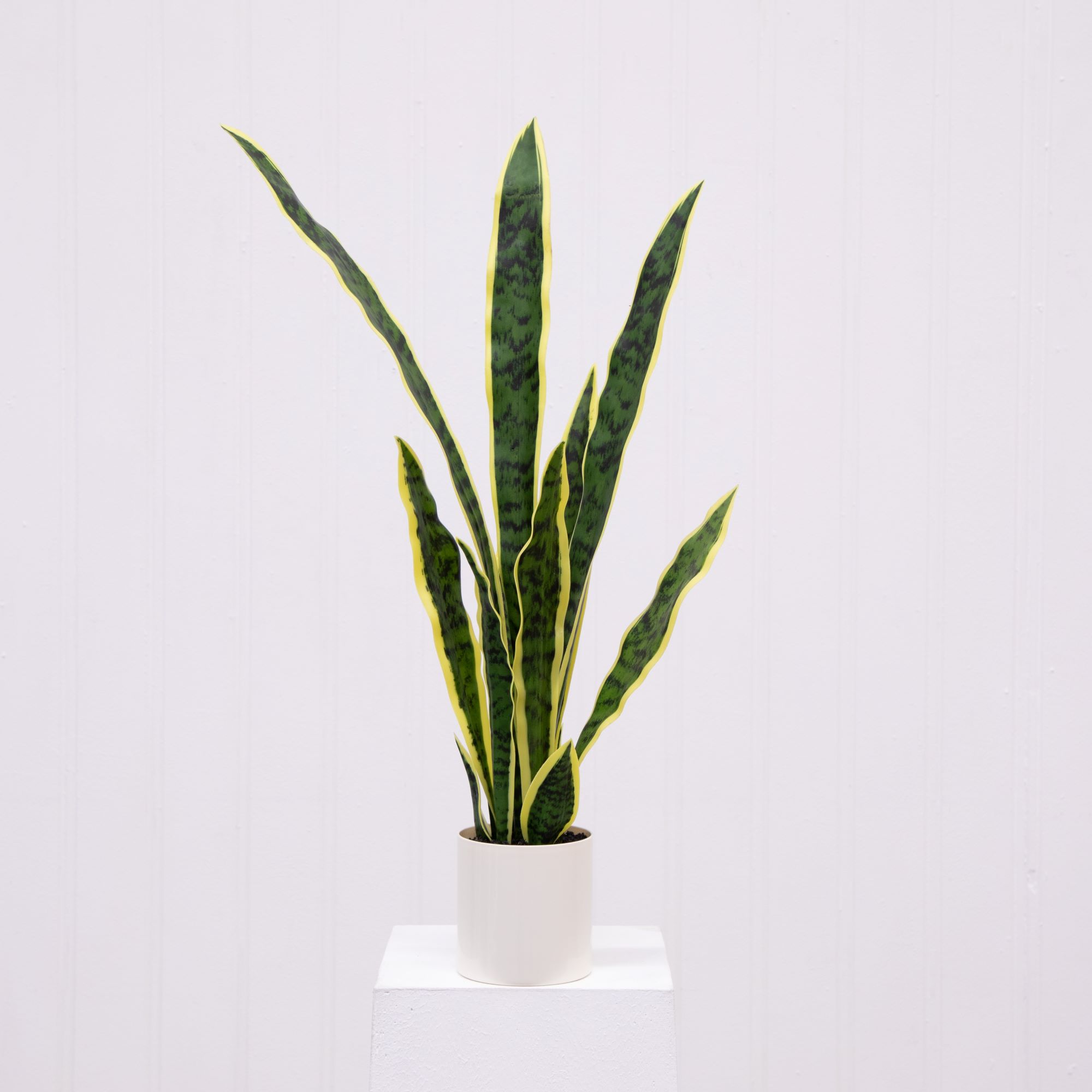 Mainstays Artificial Snake Plant, 30", Vanilla Planter photo 3