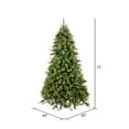thumbnail image 3 of Vickerman 12' Cashmere Pine Artificial Christmas Tree with Warm White Dura-Lit® LED Lights, 3 of 5