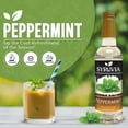 thumbnail image 2 of Syruvia Peppermint Pure Cane Syrup, 25.4 fl Oz With Pump, 2 of 6
