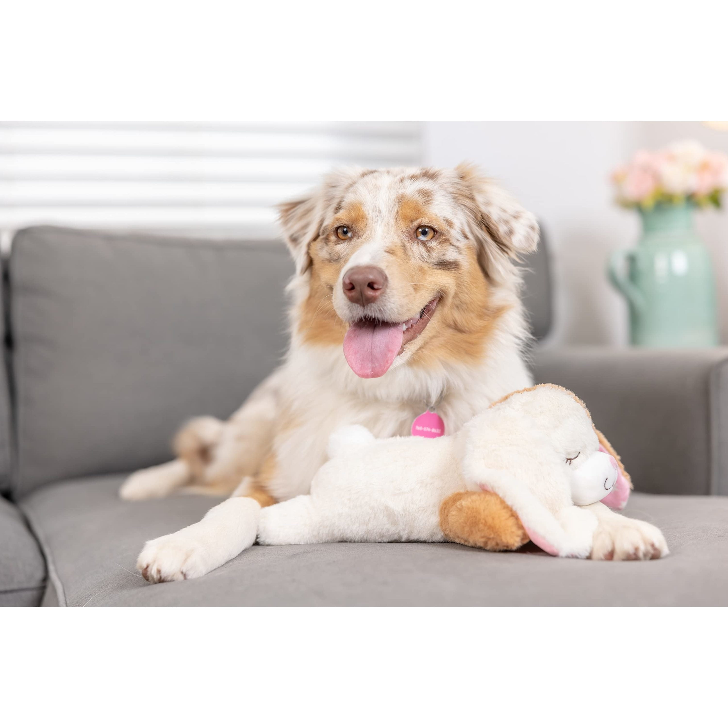 Downtown Pet Supply Hearbeat Comfort Dog Toys, Rabbit Plush Dog Toy