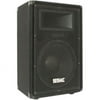 Seismic Audio Fault Line FL-12P 2-way Indoor Speaker, 300 W RMS, Black