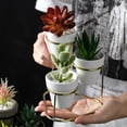 thumbnail image 3 of Soporte metálico para plantas, para interior y exterior, para jardín, maceta para suculentas y cactus. Oro A, 3 of 7