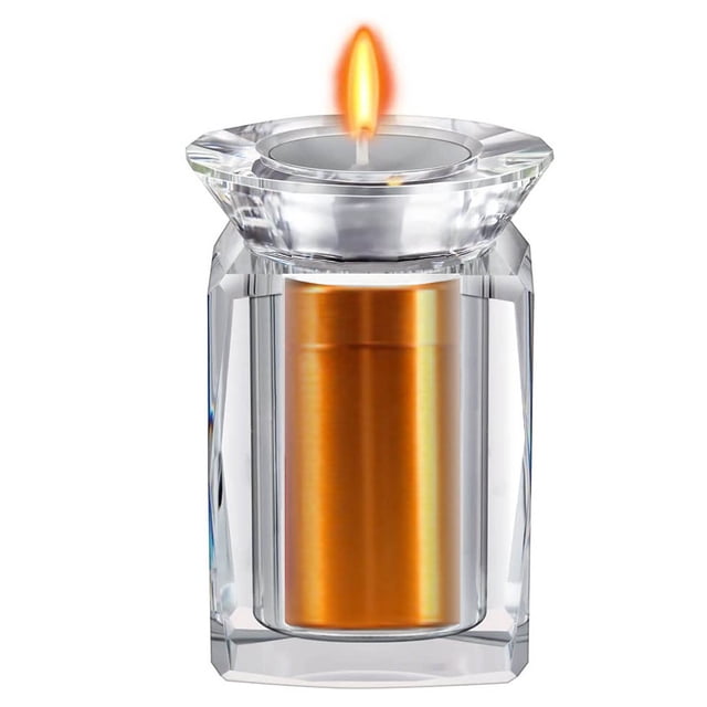SIfdSeng Transparent Keepsake Memorial for Small Cats Storage Container