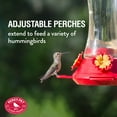 thumbnail image 5 of Perky-Pet Red Adjustable Perch Glass Hummingbird Feeder - 20 oz, 5 of 9