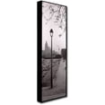 thumbnail image 2 of Trademark Fine Art "Blois Parc" Canvas Art by Alan Blaustein, 2 of 3