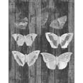 thumbnail image 2 of Goldberger, Jennifer 12x14 White Modern Wood Framed Museum Art Print Titled - Rustic Butterfly Chart III, 2 of 4