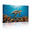 D, variant on XaaKee Sea Turtle Azure Gradient Art Prints Deep Blue Ocean Canvas Prints Wall Art Inner Framed 18*12Inch