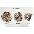 thumbnail image 2 of Bulk Rough Stones Assorted Crystals - Mixed Lot Collection, 2 of 3