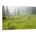 thumbnail image 1 of Great BIG Canvas | "Canada, British Columbia, Revelstoke National Park, Misty meadow scenic" Canvas Wall Art - 48x32, 1 of 2