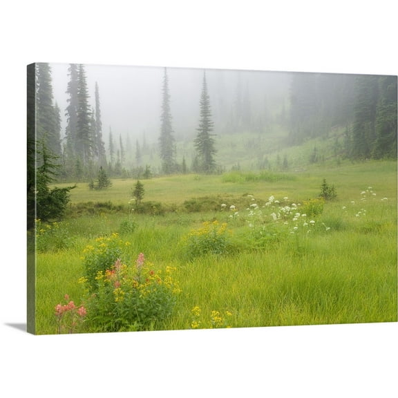 Great BIG Canvas | "Canada, British Columbia, Revelstoke National Park, Misty meadow scenic" Canvas Wall Art - 48x32