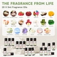 thumbnail image 3 of PHATOIL 20PCS Fragrance Oils for Candle Making, Diffusers, Fragrance, Aromatherapy, Humidifiers, Gifts - Coconut Vanilla, White Musk,Orange Blossom (5Ml), 3 of 8