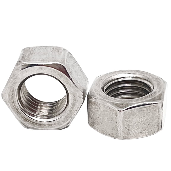 M10-1.5mm Pitch 304 Stainless Steel Left Hand Thread Hex Nuts - 10pcs