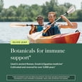thumbnail image 6 of Gaia Herbs Olive Leaf - Traditional Immune Health Support - Immune System Supplement with Olive Leaf Extract & Oleuropein* - 120 Vegan Liquid Phyto-Caps (120 Servings), 6 of 10