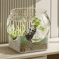 thumbnail image 3 of Round Clear Desktop Aquarium Fish Bowl for Betta Fish & Turtles, 3 of 7