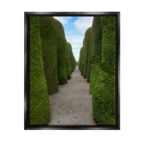 Stupell Industries Topiary Trees Hedge Pathway Landscape Photography Black Floater Framed Art Print Wall Art