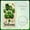3A, variant on Green Theme St. Patrick's Day Banner Clover Pattern Festival Banner Gold Accent Striped Border Lucky Clover Display for St. Patrick's Day Party Festival Indoor Decoration