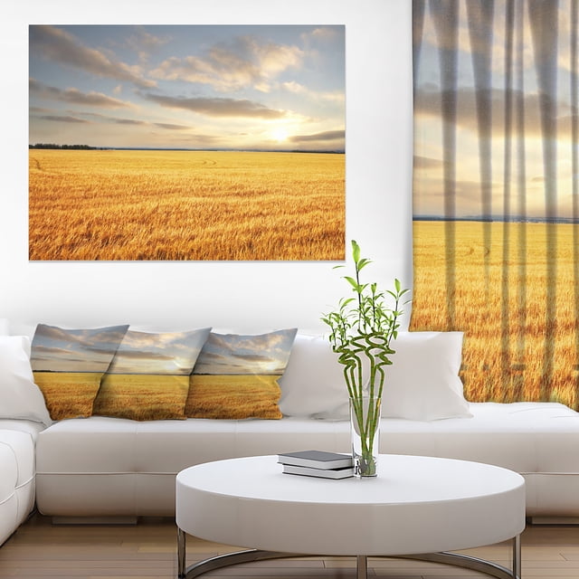 Champ Brun Extensible - Impression sur Toile Paysage