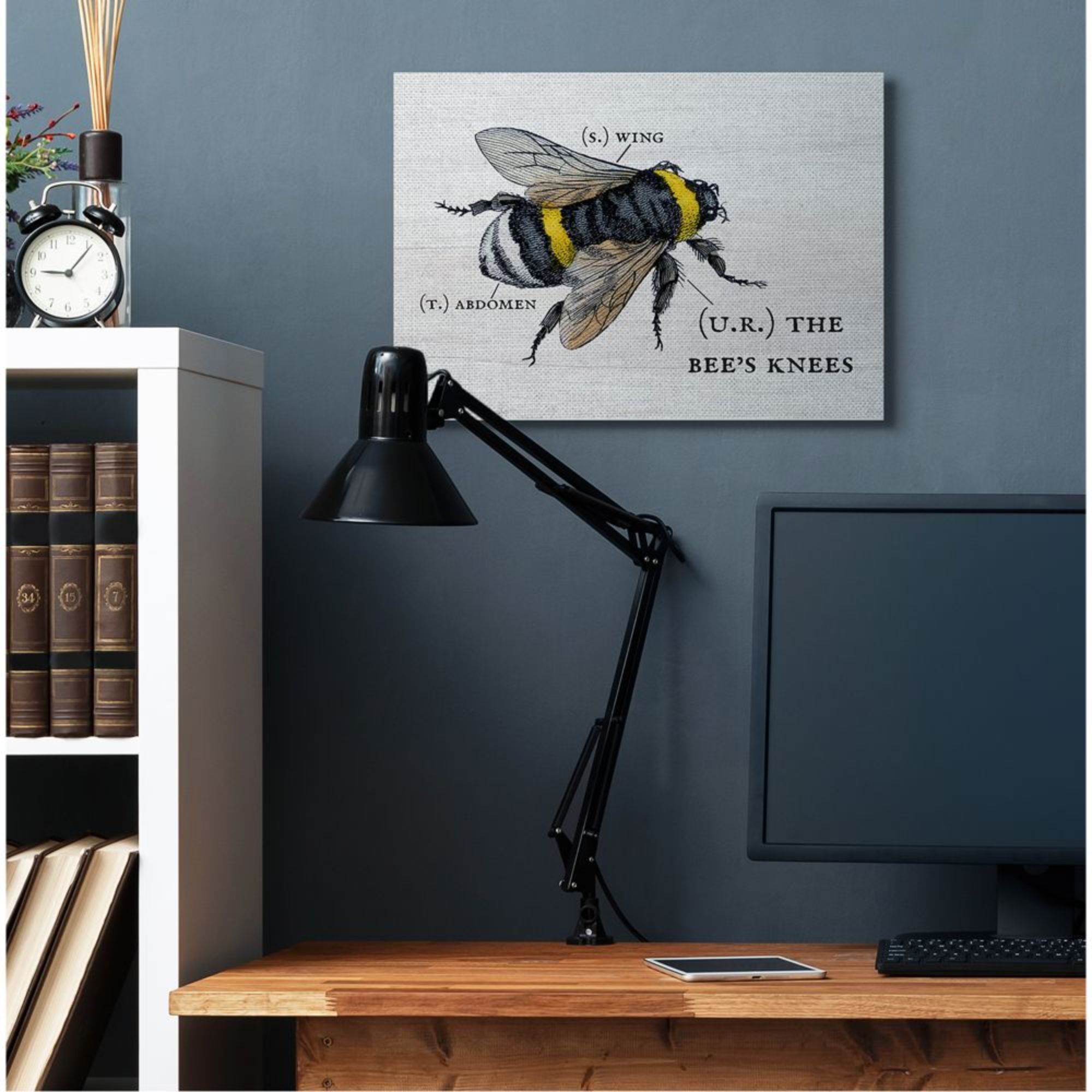 Stupell Industries Anatomy of Honey Bee Pun Charming Bee's Knees Design by Daphne Polselli, 24" x 30"