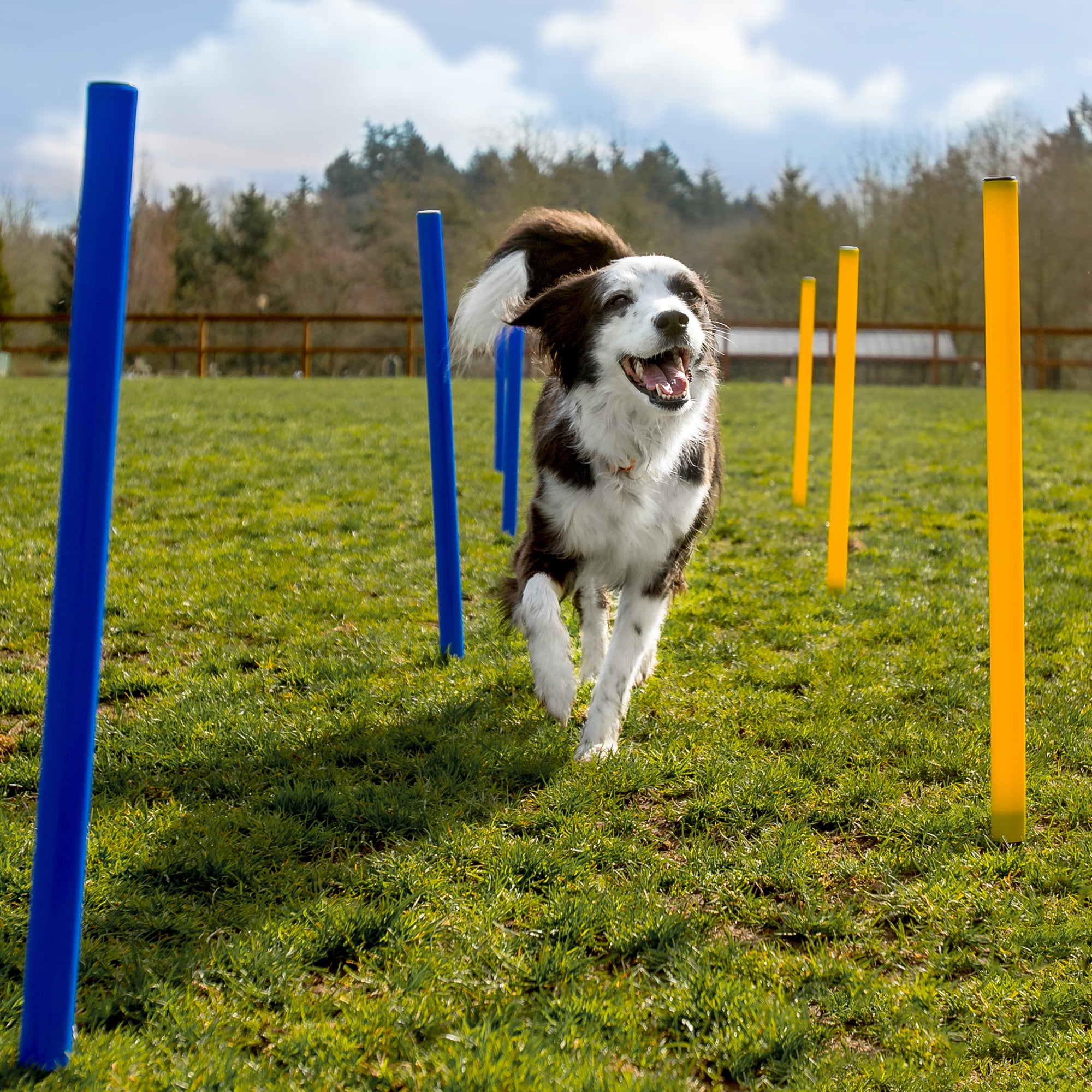 cheering pet dog agility equipment obstacle course dog tunnel