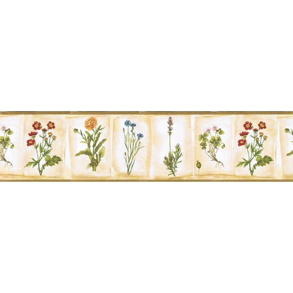 Bordure de Papier Peint Fleurs Botaniques KB53006B