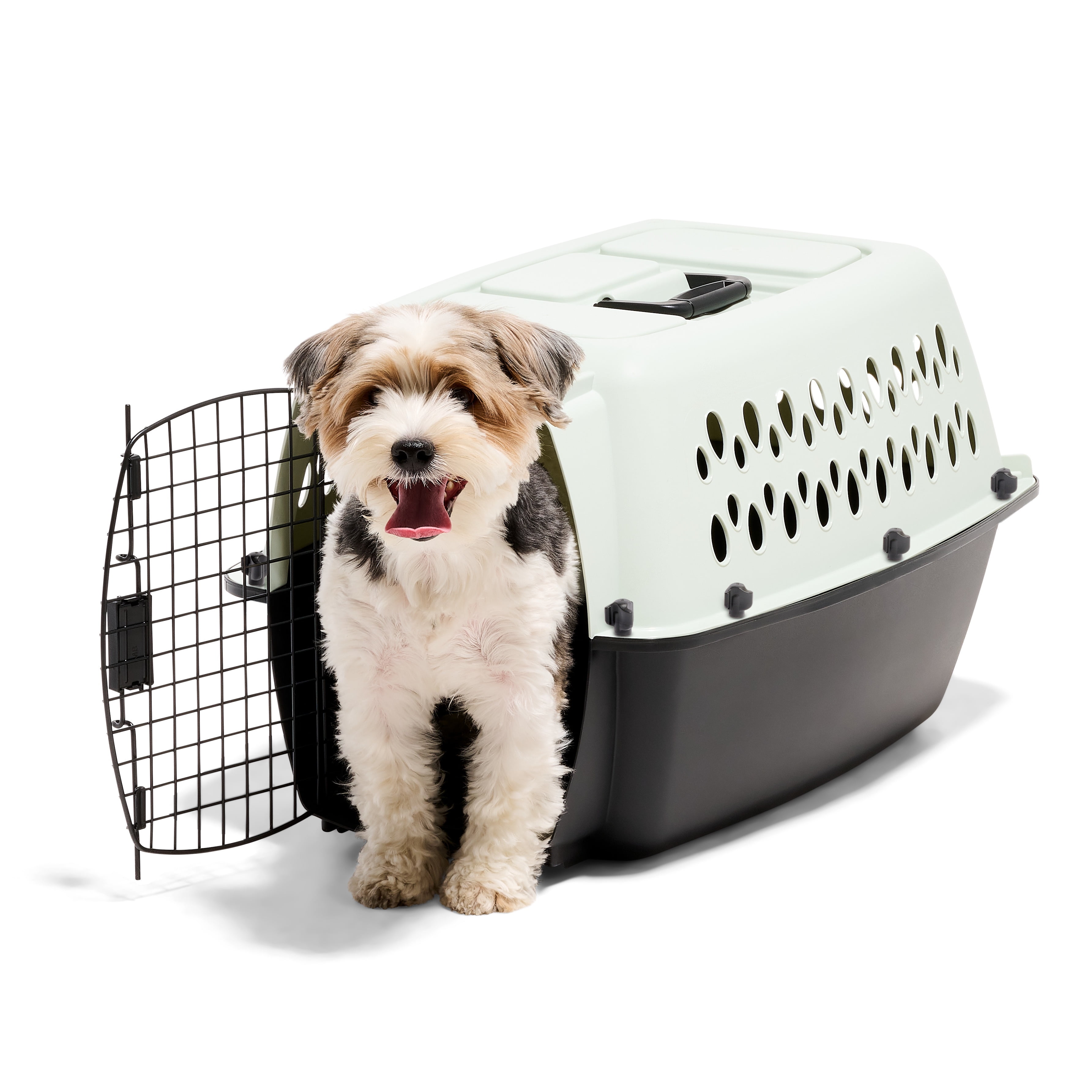Petmate Pet Porter Fashion Travel Dog Kennel Portable Plastic Carrier, Small 24" for Dogs 15-20 lb, Green
