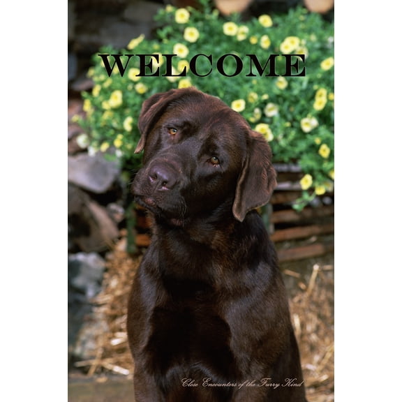 Chocolate Labrador - Best of Breed CEFK Welcome Photo Garden Flag