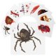 thumbnail image 1 of Makeup Stickers Body Scar Decals Realistic Fake Scar Stickers Halloween Props Simulation Scar Sticker 40Pc, 1 of 5