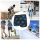 thumbnail image 4 of Balery Dandelions Calzoncillos bóxer para hombre, ropa interior de algodón suave y transpirable con cinturilla de nailon-Medium, 4 of 5