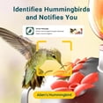 thumbnail image 2 of TT Nature Smart Glass Hummingbird Feeder with Camera, 2K HD Video Solar Powered , AI Bird Identification, Ant Moat & Water Monitor, Ideal Gift, 2 of 8