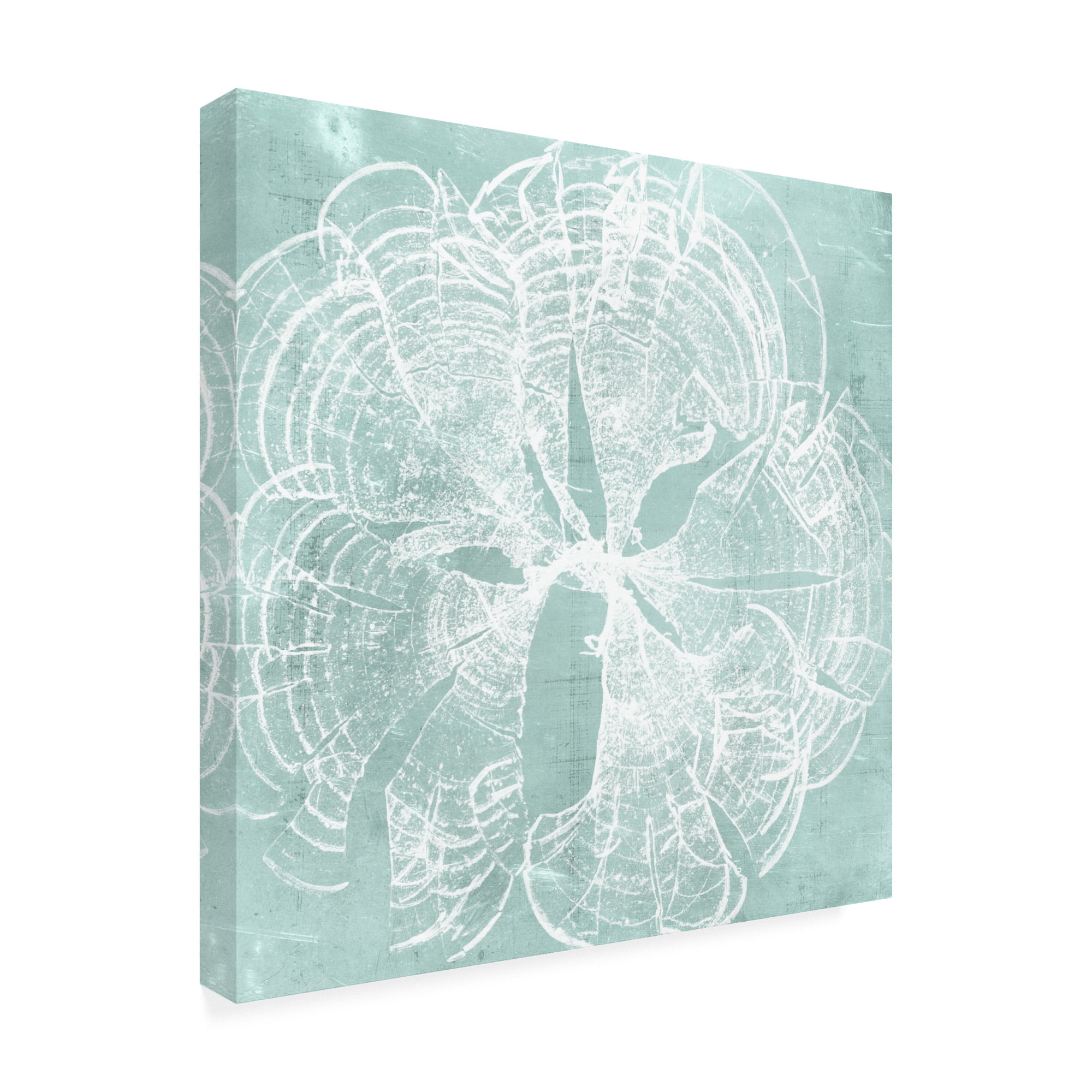 Trademark Fine Art 'Seaweed on Aqua VIII' Canvas Art by Vision Studio