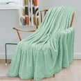 thumbnail image 3 of PAVILIA Mint Green Throw Blanket for Couch Bed, Soft Fleece Throws for Sofa Chair, Fuzzy Waffle Textured Blanket, Cozy Warm Lightweight All Season Blanket Throw, 50x60, 3 of 8