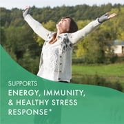 Pure Essence Labs - ProFema, Menopause Support for Hot Flashes & Hormone Balance - 120 Tablets
