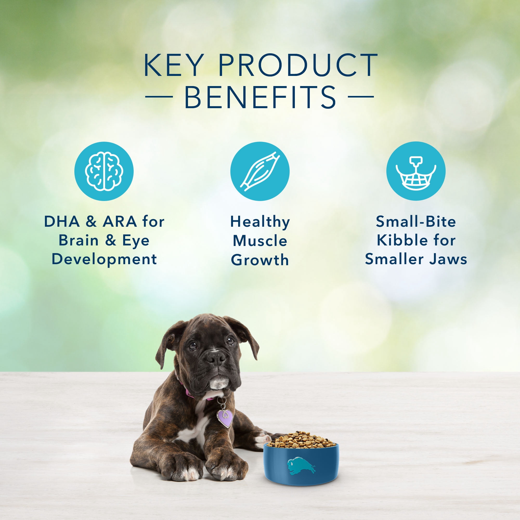 blue freedom grain free puppy food