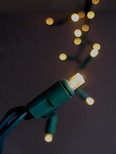 70 Outdoor RGB LED 5mm Polka Dot String Lights 23.6 FT Green Cord 
