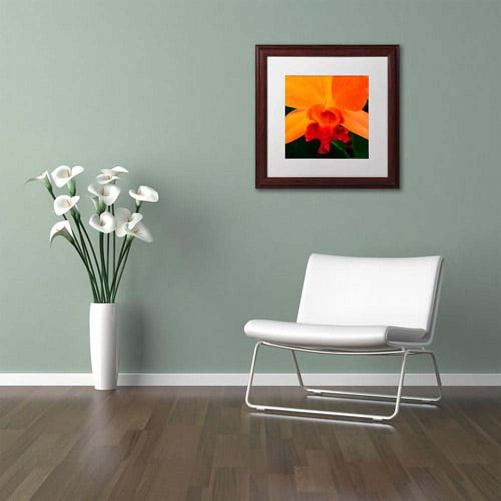 Trademark Fine Art "Brilliant Orchid on Fire" Canvas Art by Kurt Shaffer White Matte, Wood Frame