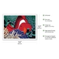 thumbnail image 2 of Diva - Hawaiian Tomato Clown Fish in Sea Anemone - From an Original Color Painting by Mark Mackay - Bamboo Fine Art 290gsm Paper (Unframed) 12x16in, 2 of 4