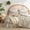 Khaki, variant on Comforter Set Boho Light Khaki Textured Chic Tufted Striped Bedding Set Wrinkle Resistant Microfiber Comforter for Bedroom Twin Size