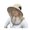Beige, variant on Wide Brim Outdoor Hat with Breathable Mesh Veil Sun Protection