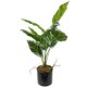 thumbnail image 3 of GOOHOCHY Decoración de planta de arrurruz artificial Decoración de bonsái de planta de arrurruz artificial Decoración del hogar, 3 of 8