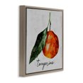 thumbnail image 3 of Stupell Industries French Country Vintage Tangerine Fruit Brown Floating Frame Canvas Art, 25 x 25, by Regina Moore, 3 of 8