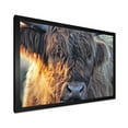 thumbnail image 2 of Designart 'Close Up Of Scottish Cow On Moorland III' Farmhouse Framed Art Print, 2 of 4